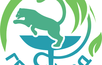 Государственное бюджетное учреждение здравоохранения "Кожно-венерологический диспансер Псковской области"